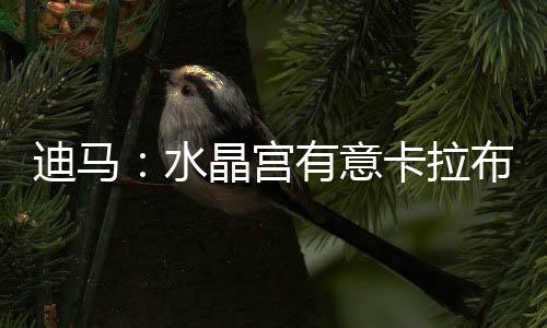 球员本人也倾向于留在意大利