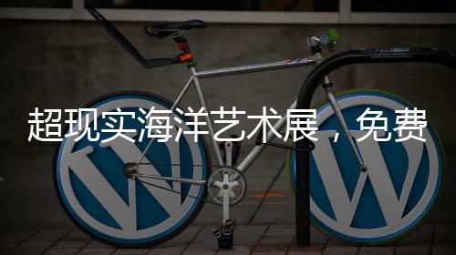 实海术展获取竞赛详情