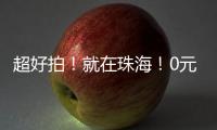 快排公司十年历程，霸屏兔 seo 的崛起与坚守