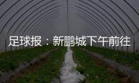 足球报：新鹏城下午前往武汉和三镇热身
，新帅穆尼奥斯随队前往
