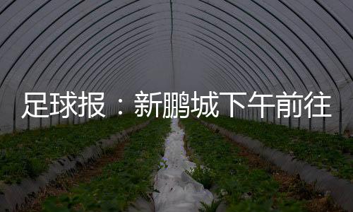 两人在青岛合作了3年