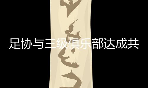 共识并结合当地实际