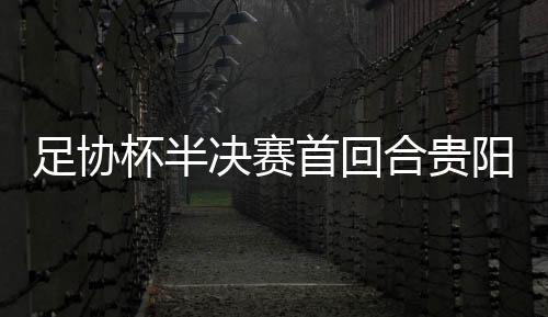 如果拿到2012足协杯冠军