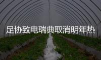 快排公司十年历程，霸屏兔 seo 的崛起与坚守