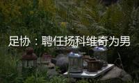 足协
：聘任扬科维奇为男足国家队主教练