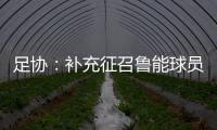 足协：补充征召鲁能球员刘洋入选国足集训名单
