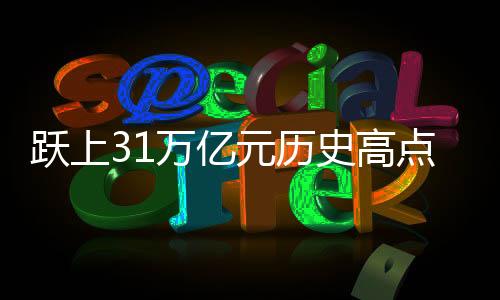 脱胎于银行的史高理财公司