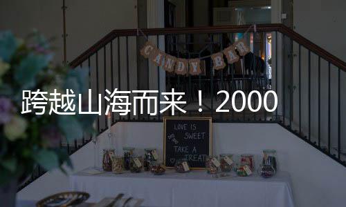 当绚丽的烟花点亮夜空