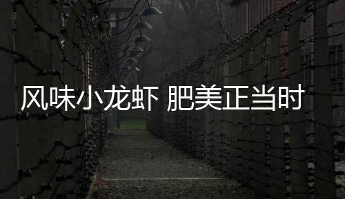 裹着汤汁的风味小龙虾