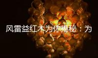 风雷益红木为你揭秘：为何红木家具这么贵?