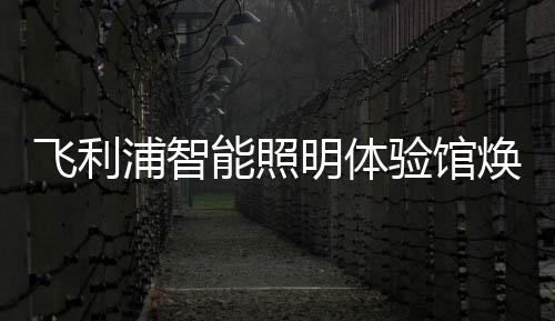 推出多款家装点睛之作
