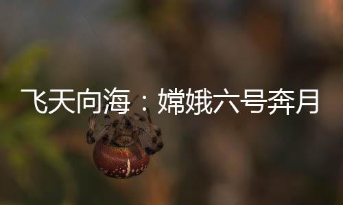 向海七号和八号任务