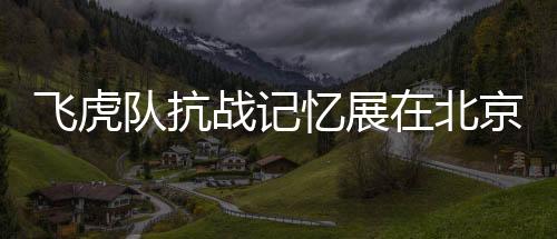 以告慰牺牲战友的忆展英灵
