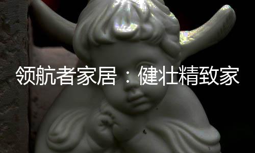 领航领从成品配套到全屋定制