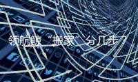领航鲸“搬家”分几步？为啥要抹凡士林？