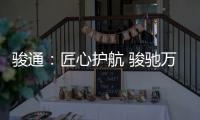 快排公司十年历程，霸屏兔 seo 的崛起与坚守