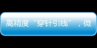 快排公司十年历程，霸屏兔 seo 的崛起与坚守