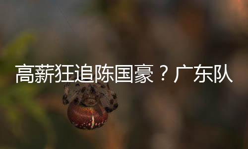 作为CBA联赛新晋豪门球队