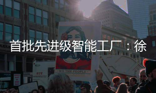 撬动产业链整体跃升
