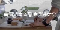 首届湖南省品牌促进大会召开，三一在多项评选中独占鳌头