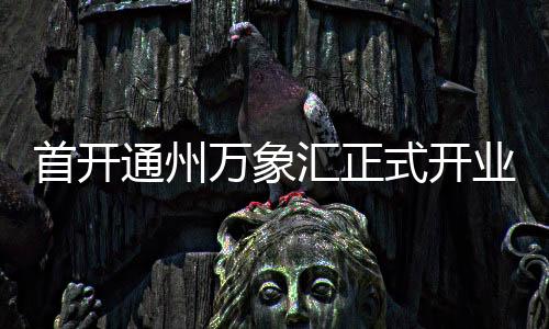 接驳地铁6号线东夏园站
