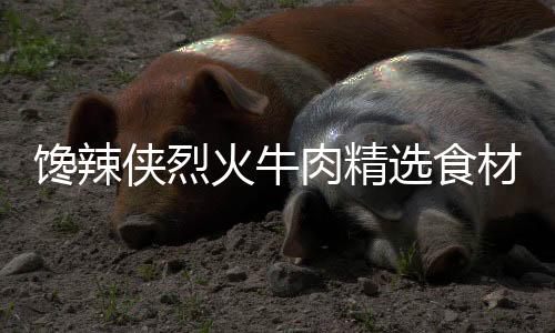 火牛在馋辣侠烈火牛肉店