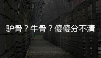 驴骨
？牛骨？傻傻分不清楚！
