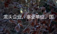 龙头企业
、事业单位、国企…珠海全年推出超5万个优质岗位，60个百万以上年薪岗位