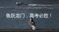 鱼跃龙门，高考必胜�！