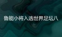 快排公司十年历程，霸屏兔 seo 的崛起与坚守