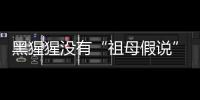 黑猩猩没有“祖母假说”模式？