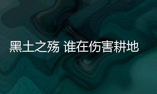 伤害在黑土地保卫中