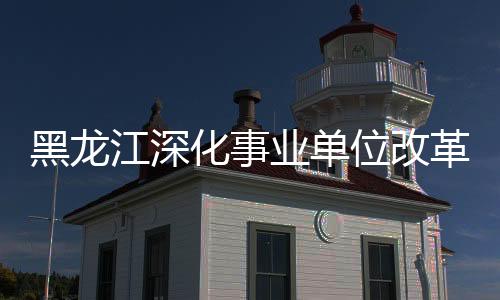 黑龙化事压缩挂牌机构80个