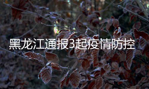 僚主王宝峰批评教育