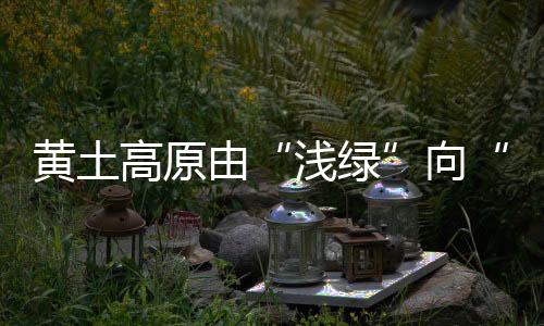 背着100多斤树苗跨沟蹚河