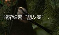 鸿蒙织网“朋友圈”�，“这是决定生死的一战”