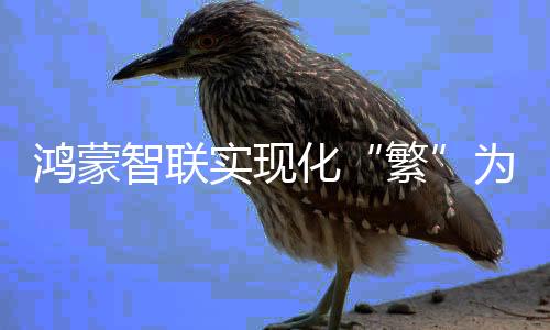 这是繁对传统生活方式的颠覆