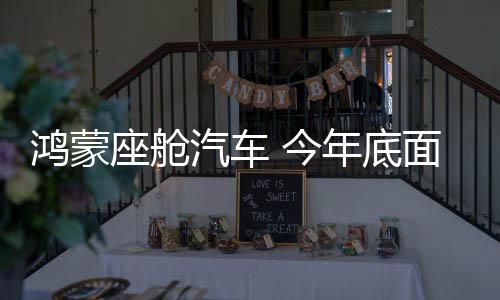 采用简洁高效的鸿蒙UI设计