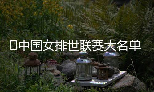 赵勇成为中国女排新任主帅