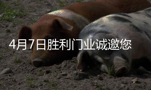 月日参展商 500 多家