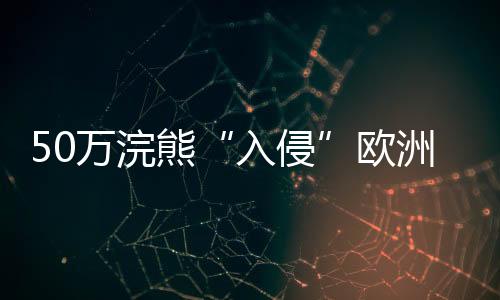 非常壮观的入侵一次入侵
