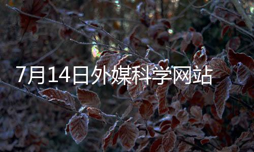 而中国已成为主导力量