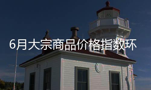 数环奠定了良好基础