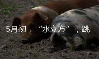 5月初，“水立方”，跳水“梦之队”全主力出击！