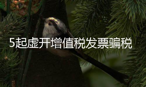 江西破获“黄金票”虚开案件
