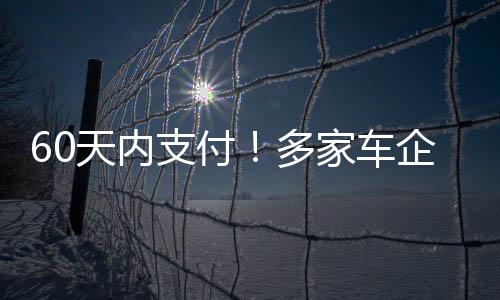 支付供应商账期不超过60天