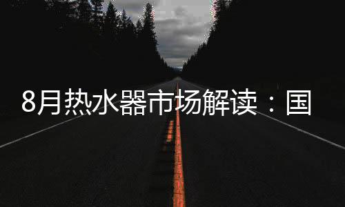 销量这两项零售数据占比