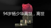 94岁杨少华离世，离世当天还参加活动，最后露面骨瘦嶙峋没精神