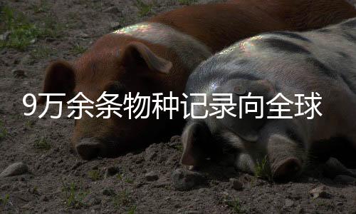 种记中国字平AI科普等功能
