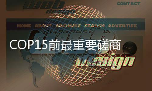 磋商迟缓加拿大蒙特利尔